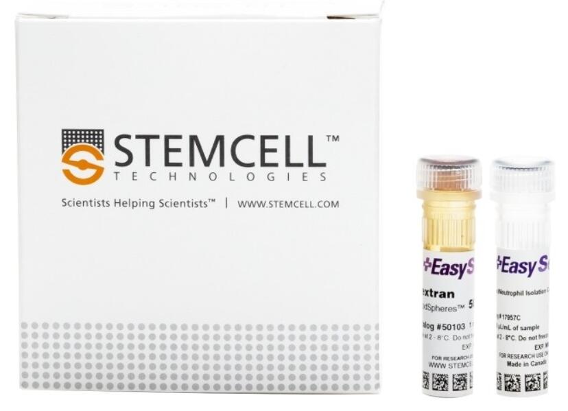 Easysep Human Neutrophil Isolation Kit Stemcell